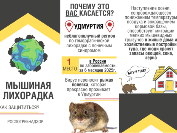 Профилактика геморрагической лихорадки с почечным синдромом.