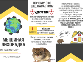 Профилактика геморрагической лихорадки с почечным синдромом.
