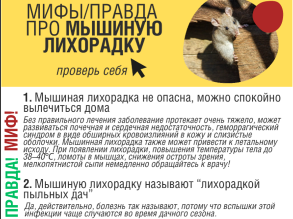 Профилактика геморрагической лихорадки с почечным синдромом.