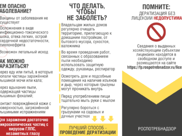 Профилактика геморрагической лихорадки с почечным синдромом.