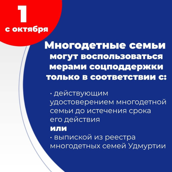 О мерах социальной поддержки для многодетных семей.
