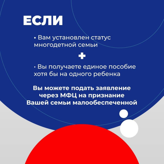 О мерах социальной поддержки для многодетных семей.